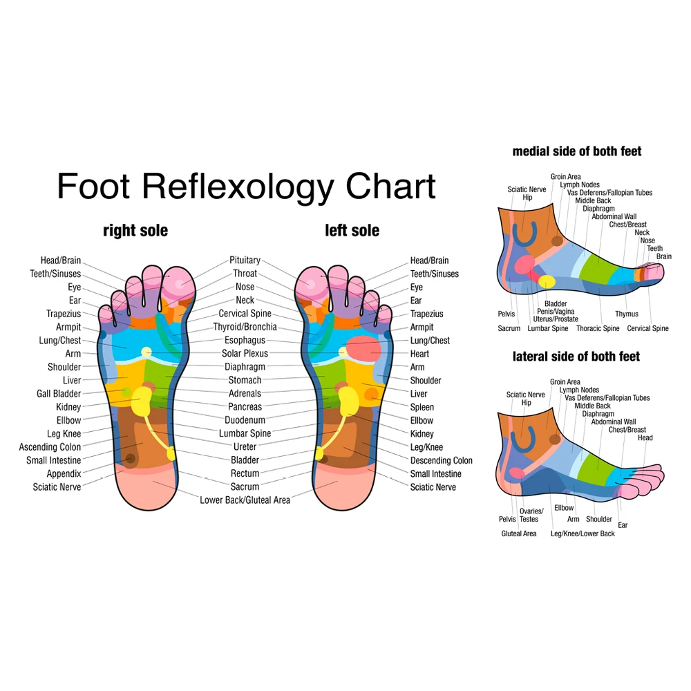 Wooden Foot Massage Roller Rel - Reflexology Foot Roller ulasan dan harga